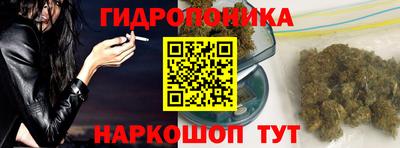 СК Кимры