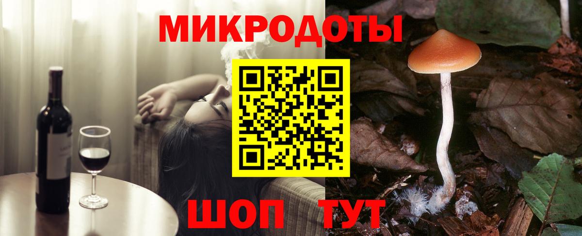 Псилоцибиновые грибы Psilocybe Кириши