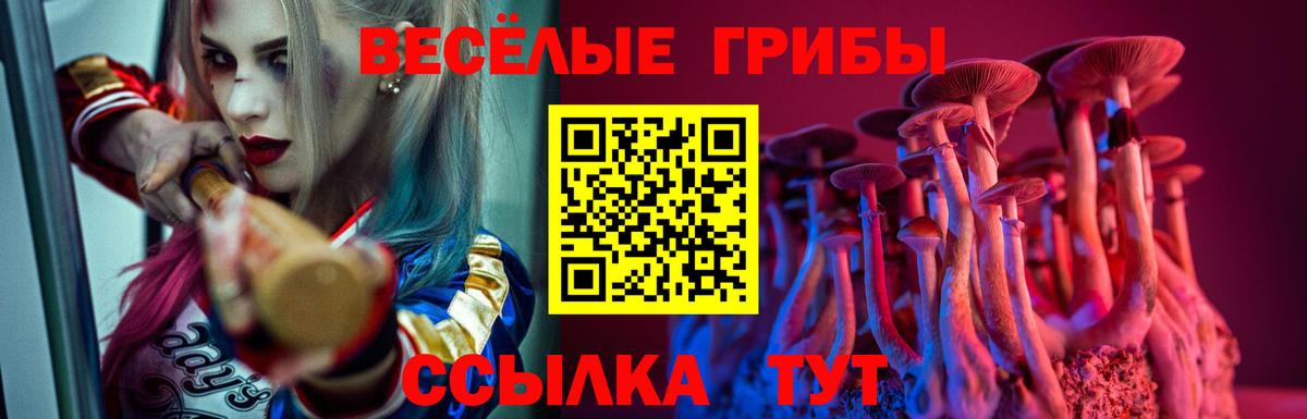Галлюциногенные грибы Psilocybine cubensis  Вход с VPN  Кириши 